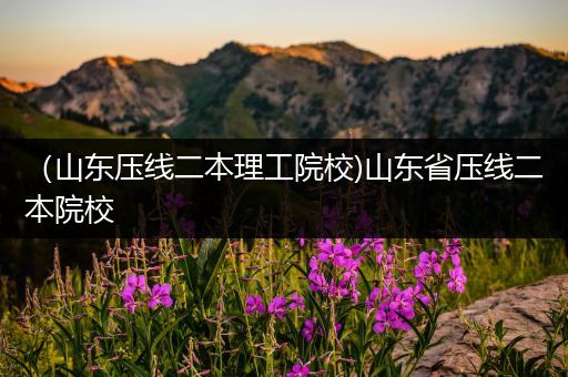 （山东压线二本理工院校)山东省压线二本院校