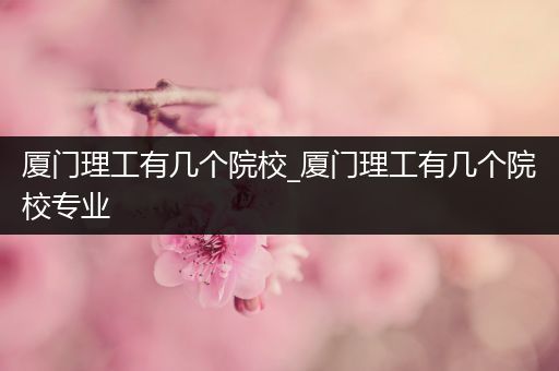 厦门理工有几个院校_厦门理工有几个院校专业
