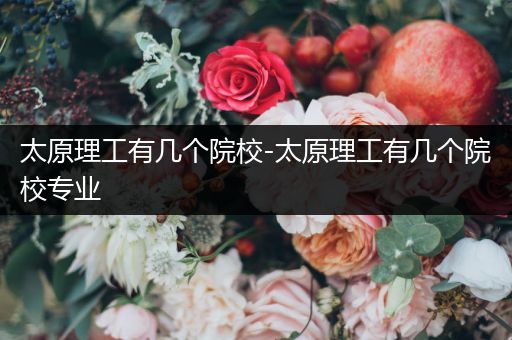 太原理工有几个院校-太原理工有几个院校专业