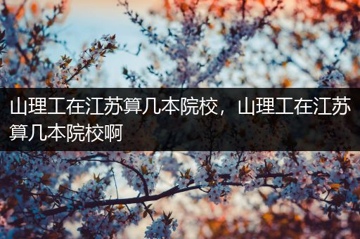 山理工在江苏算几本院校，山理工在江苏算几本院校啊