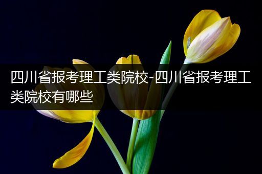 四川省报考理工类院校-四川省报考理工类院校有哪些