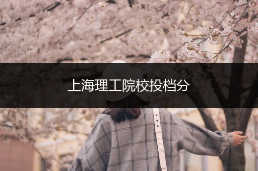 上海理工院校投档分