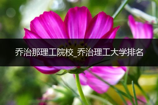 乔治那理工院校_乔治理工大学排名