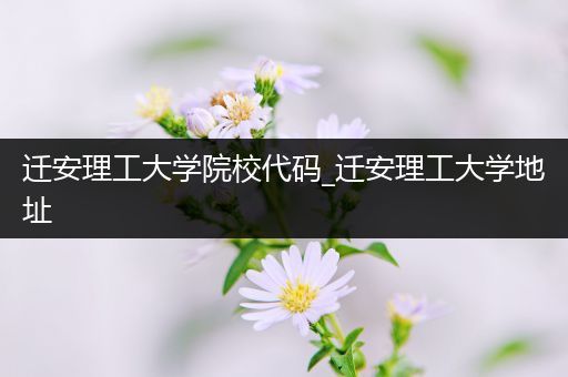 迁安理工大学院校代码_迁安理工大学地址