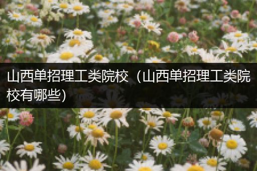 山西单招理工类院校（山西单招理工类院校有哪些）