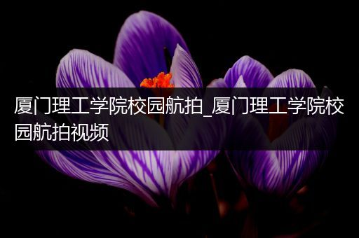 厦门理工学院校园航拍_厦门理工学院校园航拍视频