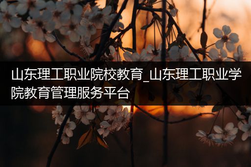 山东理工职业院校教育_山东理工职业学院教育管理服务平台