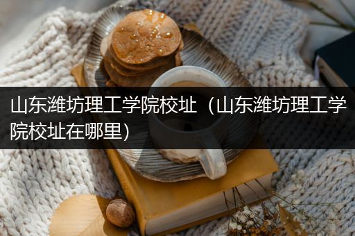 山东潍坊理工学院校址（山东潍坊理工学院校址在哪里）