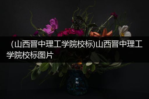 （山西晋中理工学院校标)山西晋中理工学院校标图片