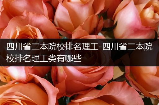 四川省二本院校排名理工-四川省二本院校排名理工类有哪些
