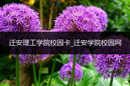 迁安理工学院校园卡_迁安学院校园网
