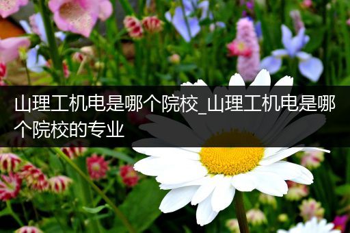 山理工机电是哪个院校_山理工机电是哪个院校的专业