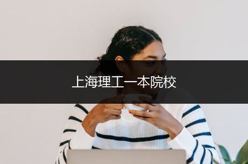 上海理工一本院校