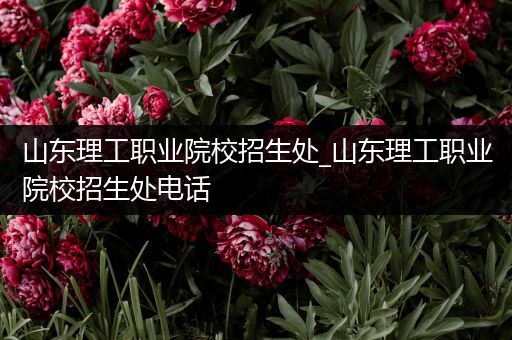 山东理工职业院校招生处_山东理工职业院校招生处电话