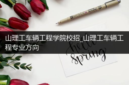 山理工车辆工程学院校招_山理工车辆工程专业方向