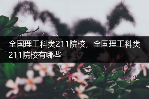 全国理工科类211院校，全国理工科类211院校有哪些