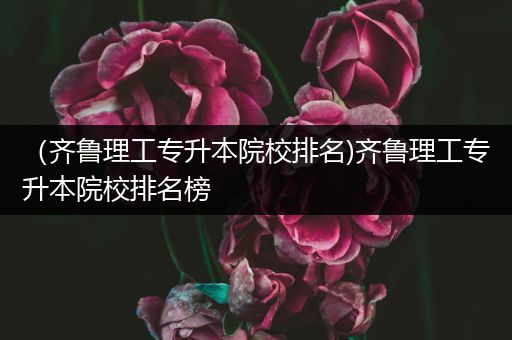 （齐鲁理工专升本院校排名)齐鲁理工专升本院校排名榜