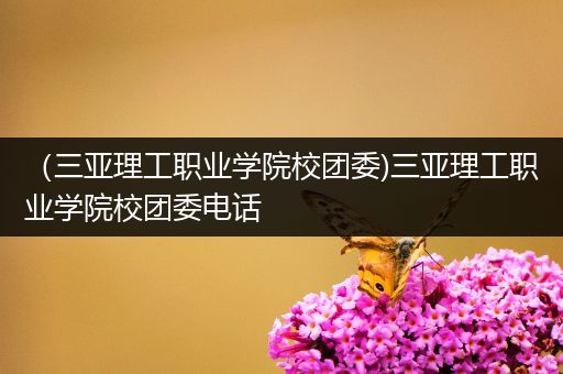 （三亚理工职业学院校团委)三亚理工职业学院校团委电话
