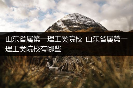 山东省属第一理工类院校_山东省属第一理工类院校有哪些
