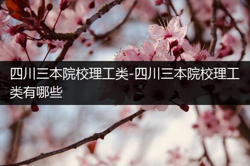 四川三本院校理工类-四川三本院校理工类有哪些
