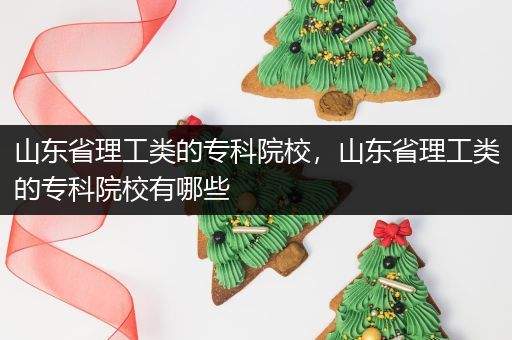 山东省理工类的专科院校，山东省理工类的专科院校有哪些