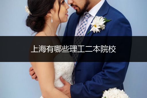 上海有哪些理工二本院校