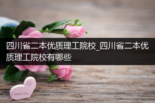 四川省二本优质理工院校_四川省二本优质理工院校有哪些