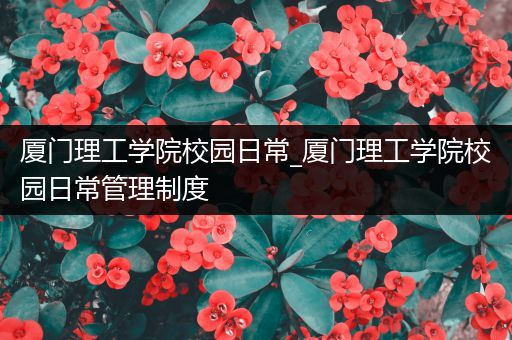 厦门理工学院校园日常_厦门理工学院校园日常管理制度