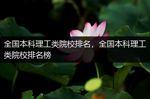 全国本科理工类院校排名，全国本科理工类院校排名榜