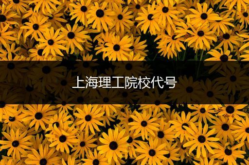 上海理工院校代号