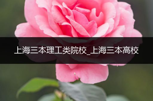 上海三本理工类院校_上海三本高校