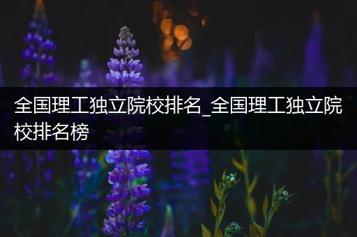 全国理工独立院校排名_全国理工独立院校排名榜