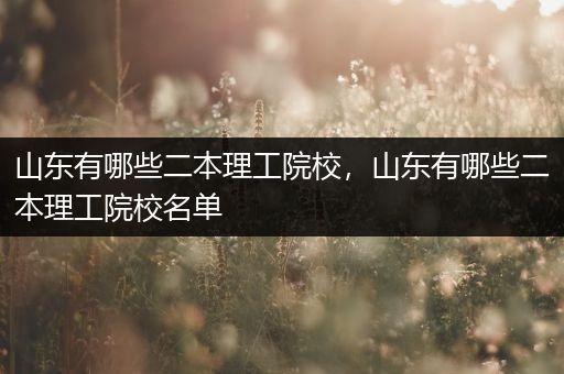 山东有哪些二本理工院校，山东有哪些二本理工院校名单