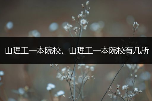 山理工一本院校，山理工一本院校有几所