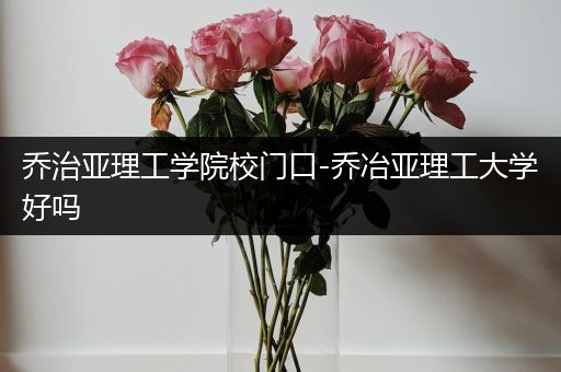 乔治亚理工学院校门口-乔冶亚理工大学好吗