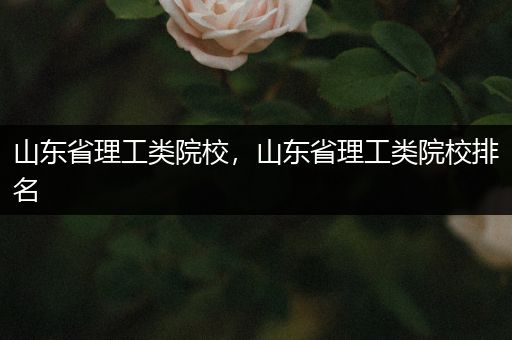 山东省理工类院校，山东省理工类院校排名