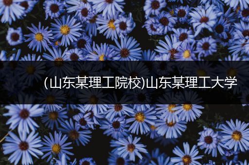 （山东某理工院校)山东某理工大学