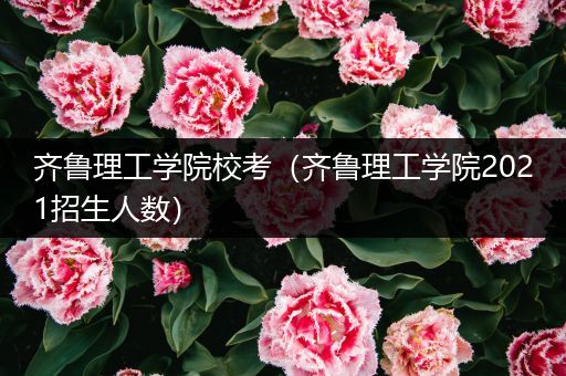 齐鲁理工学院校考（齐鲁理工学院2021招生人数）