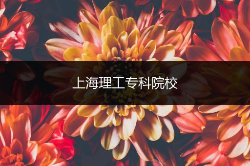 上海理工专科院校