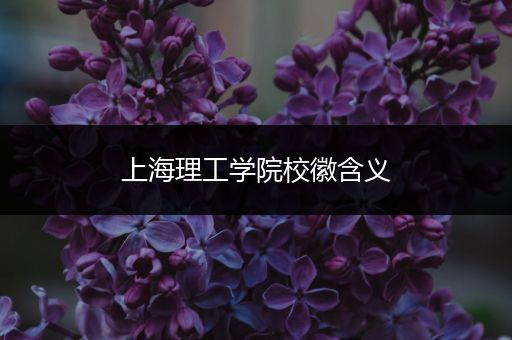 上海理工学院校徽含义