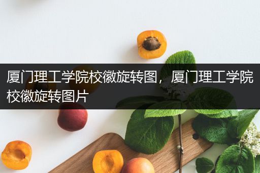 厦门理工学院校徽旋转图，厦门理工学院校徽旋转图片