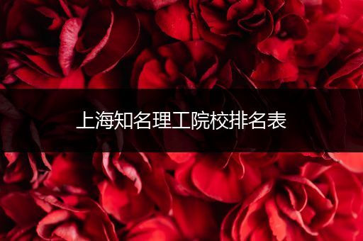 上海知名理工院校排名表