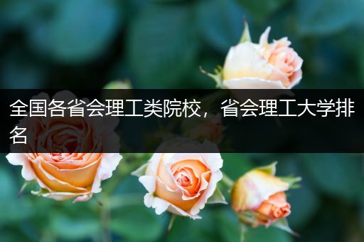 全国各省会理工类院校，省会理工大学排名