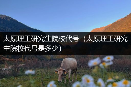 太原理工研究生院校代号（太原理工研究生院校代号是多少）
