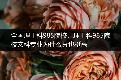全国理工科985院校，理工科985院校文科专业为什么分也挺高