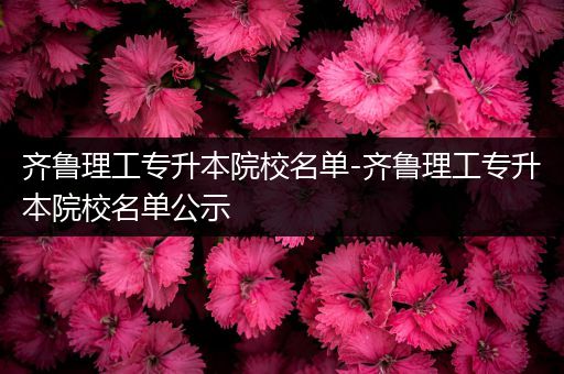 齐鲁理工专升本院校名单-齐鲁理工专升本院校名单公示