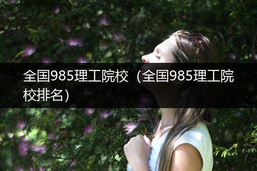 全国985理工院校（全国985理工院校排名）