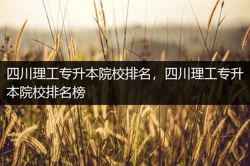 四川理工专升本院校排名，四川理工专升本院校排名榜
