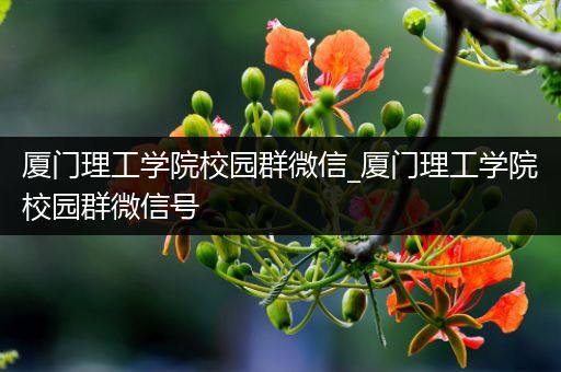 厦门理工学院校园群微信_厦门理工学院校园群微信号
