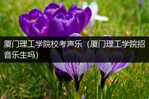 厦门理工学院校考声乐（厦门理工学院招音乐生吗）